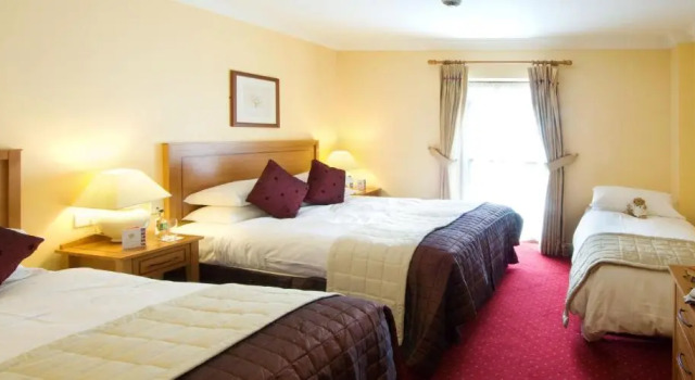 Номер Standard The Wyatt Hotel