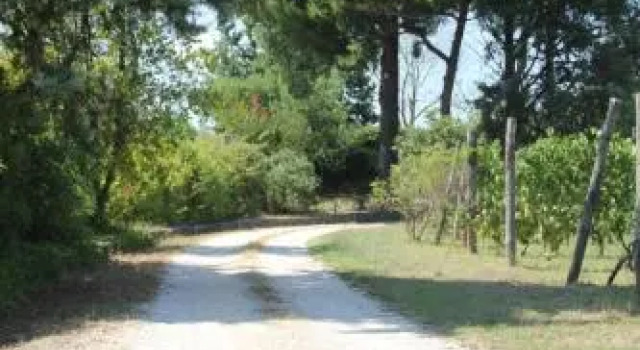 La Fattoria Barbini, Book Hotel Hoteller i Lake Vico med parkering, Parkering