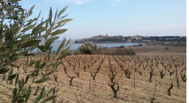 Villa Le Clos Fleuri, Réserver Hôtel Narbonne Aude
