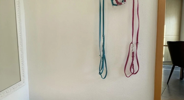 Апартаменты Ferienwohnung Toja