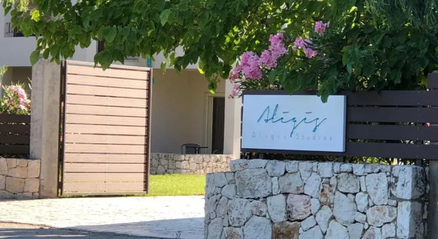 Студия Aligis Studios