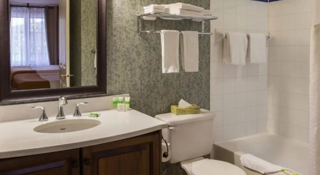 Двухместный номер Deluxe Holiday Inn Express & Suites Tremblant by IHG