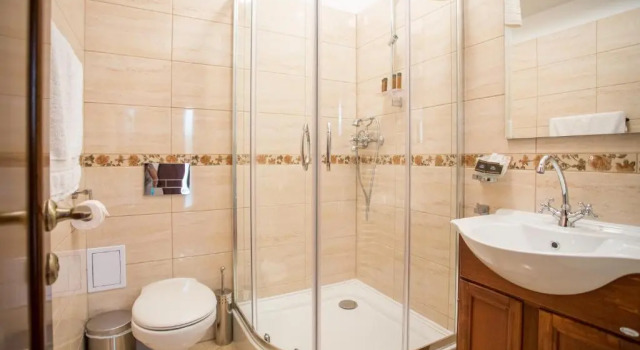 Апартаменты Rosen Villa Sibiu