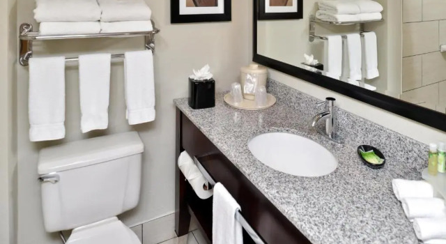 Номер Standard Holiday Inn Express Hotel & Suites Tampa-Rocky Point Island by IHG
