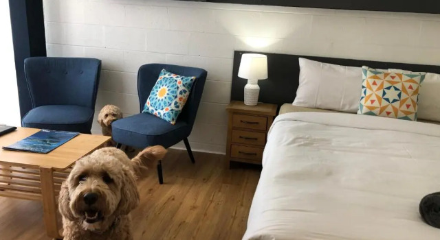 Двухместный номер Standard South Seas Motel