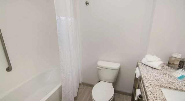 Четырёхместный номер Standard Hilton Garden Inn Tampa Suncoast Parkway