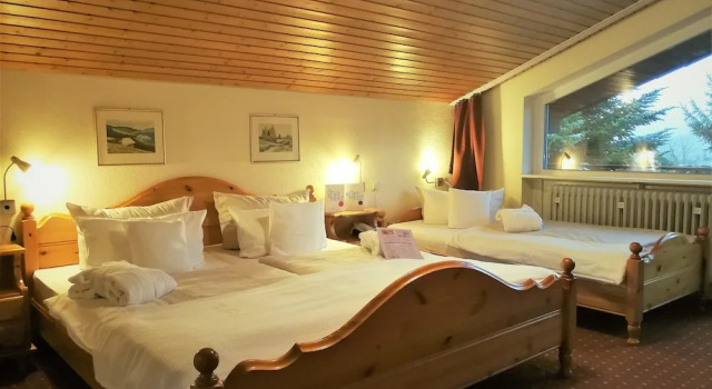 Трёхместный номер Standard Hotel Schwarzwälder Hof