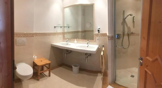 Номер Standard Hotel Goldener Adler