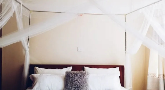 Апартаменты Comfort Savannah Airport Apartment