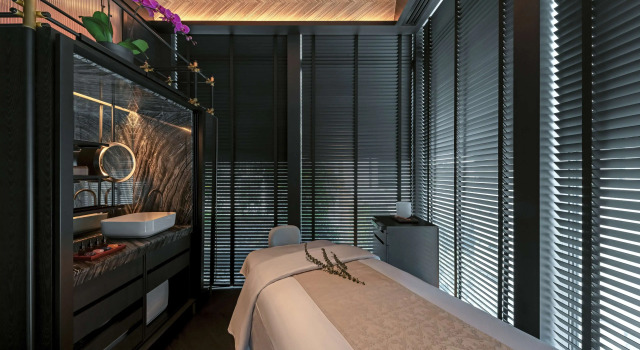 Artyzen Singapore, Rezerwuj Hotel Hotele biznesowe w Orchard, 4* 5*