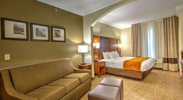 Двухместный люкс Comfort Suites Tomball Medical Center