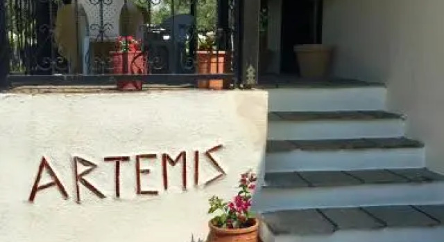 Artemis Holidays
