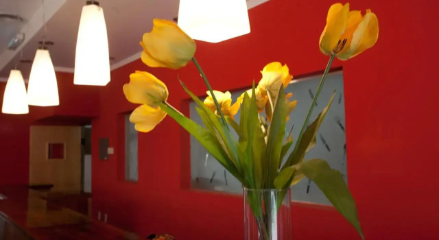 Hotel El Cisne, Buchen Sie Hotel Malargue Mendoza