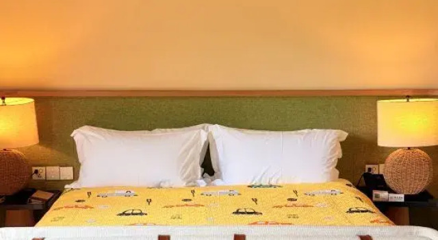 Люкс Yuanqi Art Homestay