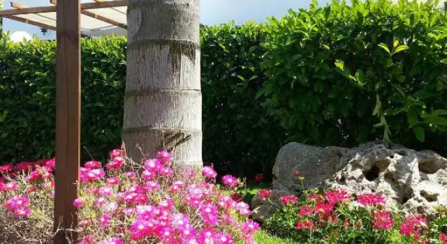 Agriturismo Fratelli Mizzon, Prenota Hotel Hotel a Lazio con parcheggio, Parcheggio
