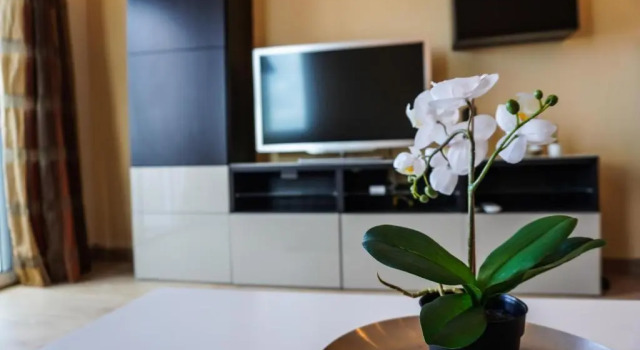 Апартаменты с 2 комнатами Las Vistas Beach
