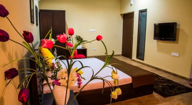Номер Executive Casa Paradise Resort