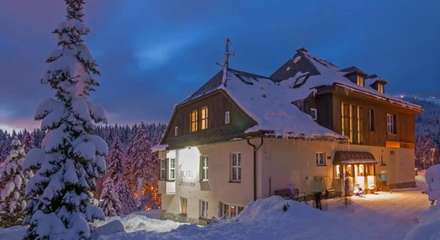 Двухместный номер Standard Hotel Domovina