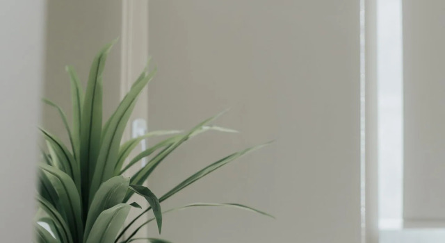 Номер Superior elia boutique hotel