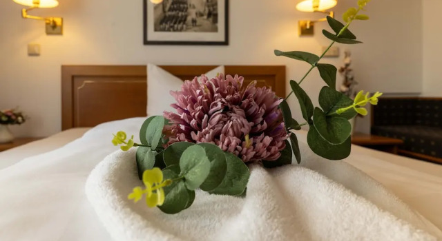 Номер Economy Hotel Alekto