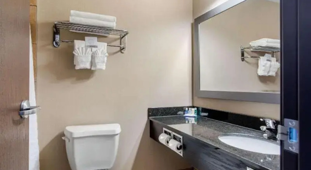 Люкс Comfort Inn & Suites