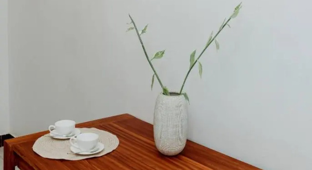 Номер Standard Paje Home