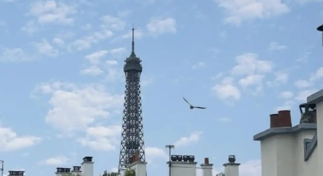 Одноместный номер Standard Hotel Villa Nicolo - Tour Eiffel