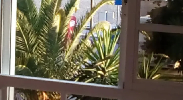 Апартаменты salobreña primera linea de playa