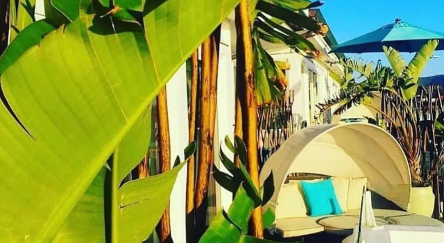Люкс с балконом Pier View Suites