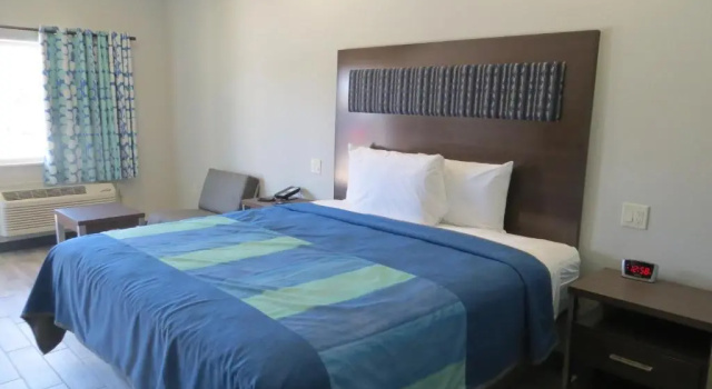Номер Standard Hotel Blue - Woodlands