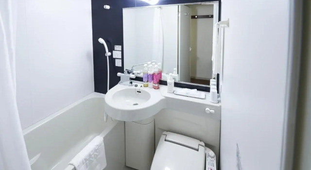 Одноместный номер Standard Sotetsu Fresa Inn Chiba Kashiwa