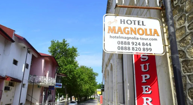 Номер Economy Family Hotel Magnolia