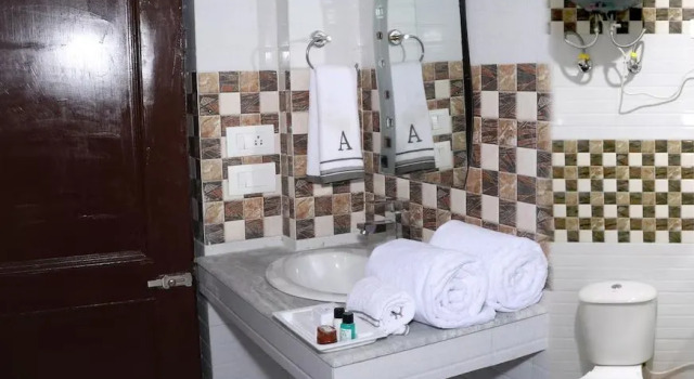 Люкс Hotel Ashiana Palampur