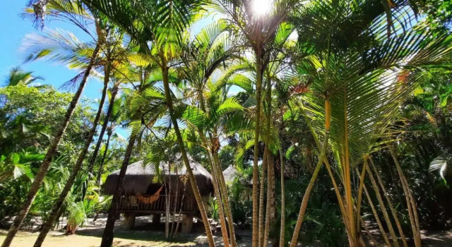 Двухместное бунгало с видом на сад Aldeia da Mata Ecolodge