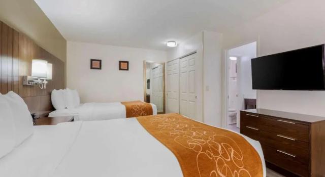 Двухместный люкс Standard Comfort Suites Tucson near Sabino Canyon