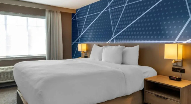 Люкс Comfort Inn & Suites East Greenbush - Albany