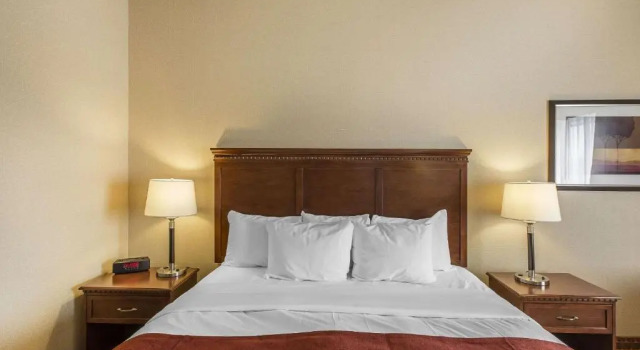 Номер Deluxe Comfort Hotel Airport