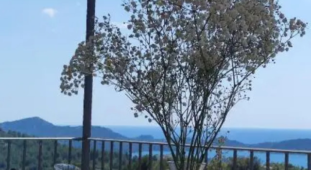 Luxury stone house in a Nature park, Забронировать Отель Сали Dugi Otok