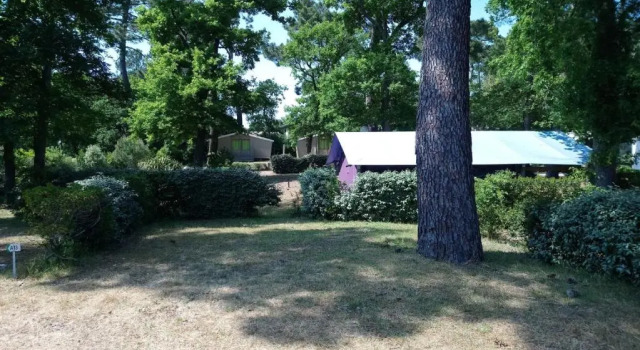 Номер Standard с 2 комнатами Camping Les Pins de Sel