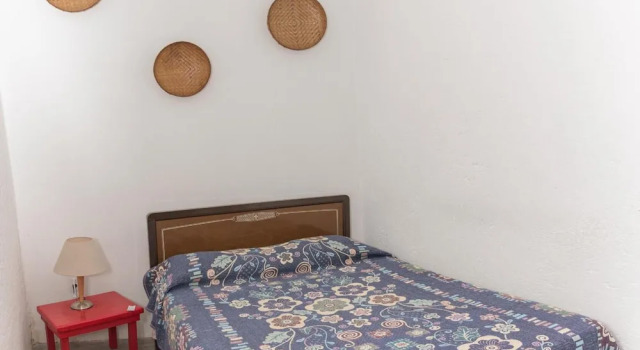 Colibrí B&B, Book Bed and Breakfast Mexico City Mexico DF