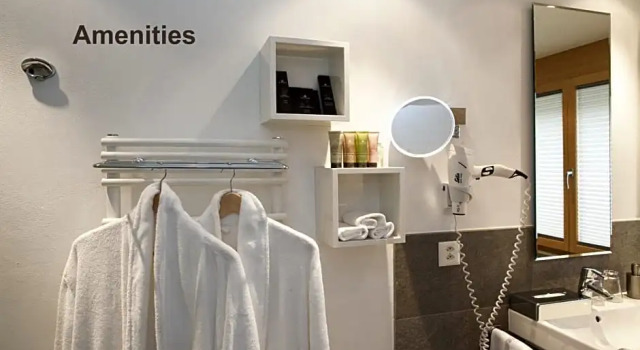 Номер Standard Цокольный этаж Hotel Aristella Swissflair