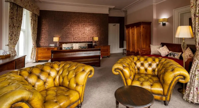 Номер Deluxe Badger Bar