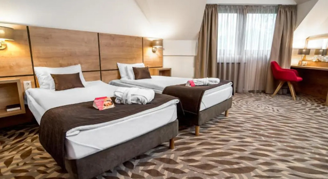 Семейный номер Standard с видом на сад Rubin Wellness & Conference Hotel