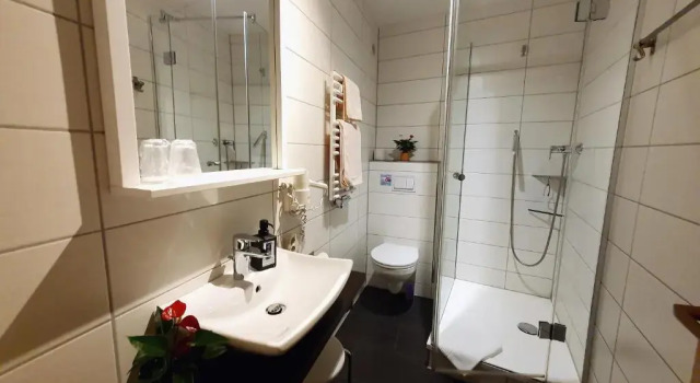 Двухместный номер Standard Hotel-Pension Grüne Linde