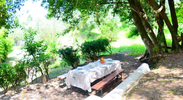 Massarosa Garden Cottage
