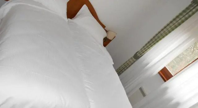 Hotel Ristorante Al Picaron, Prenota Hotel San Daniele del Friuli 