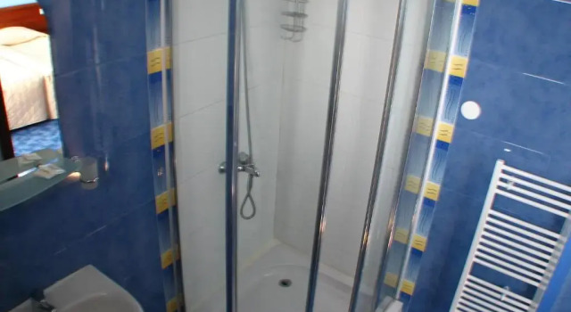 Двухместный номер Standard Bariakov Family Hotel