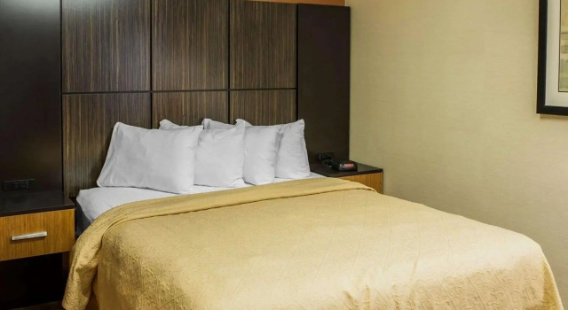 Номер Business Quality Inn Franklin I-65