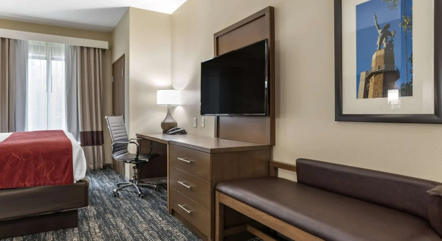 Двухместный люкс Comfort Inn & Suites Downtown near University