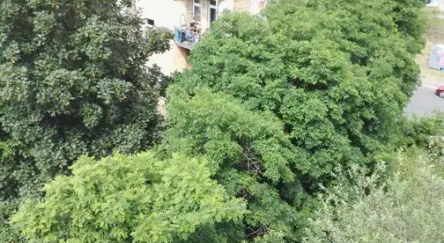 Amsterdam-Einraumwohnung